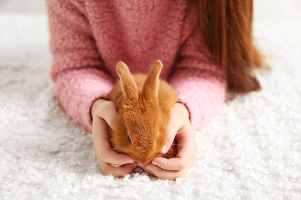 Girl holding small rabbit  - Foto, Bild