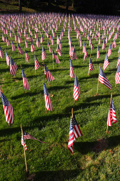 Campo de banderas americanas
 - Foto, imagen
