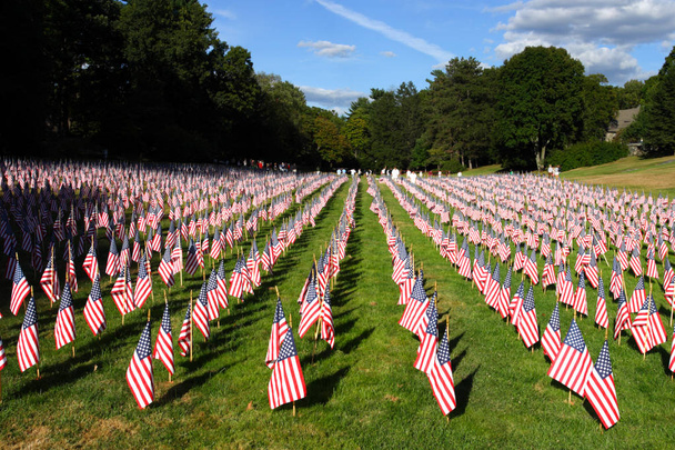 Field of American Flags - Photo, Image
