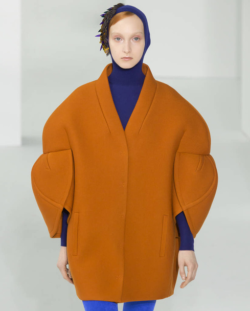 Delpozo - Fall 2017 Collection - Foto, afbeelding