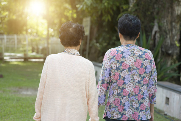 Rear view Asian elderly women walking at outdoor park - Foto, immagini