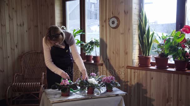 Mladá žena zalévání květiny uvnitř domu - Záběry, video