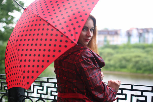 femme avec parapluie rouge sur arbre de rue
 - Photo, image