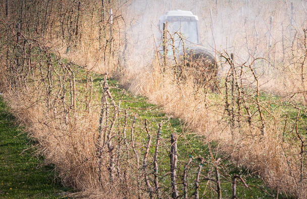 Traktor sprüht Insektizid in Apfelplantage - Foto, Bild