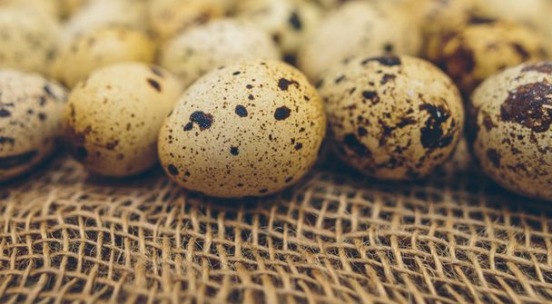 Quail eggs on a natural close-up background - Фото, изображение