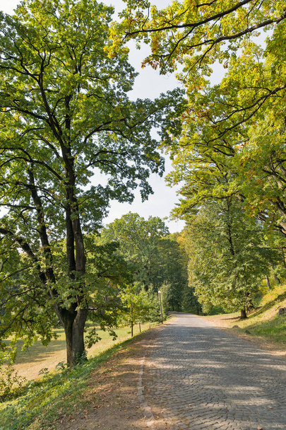 Estrada pavimentada com calhaus que levam ao Castelo de Schonborn. Chynadiyovo, Ucrânia
. - Foto, Imagem