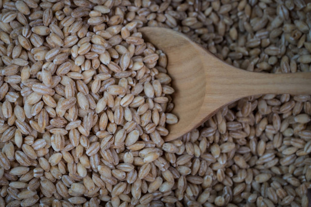 perlas semillas de grano de cebada sobre fondo
 - Foto, imagen