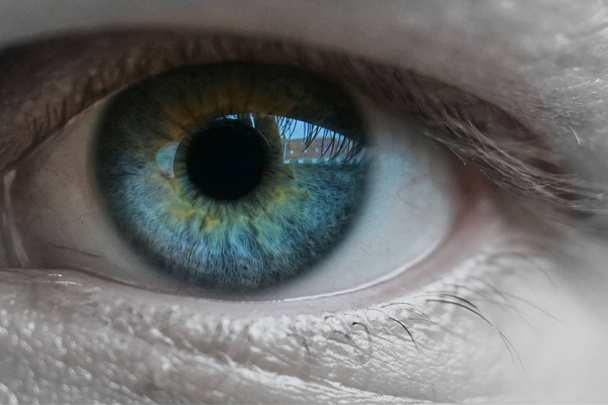 Kék ember szem makro lövés - Fotó, kép