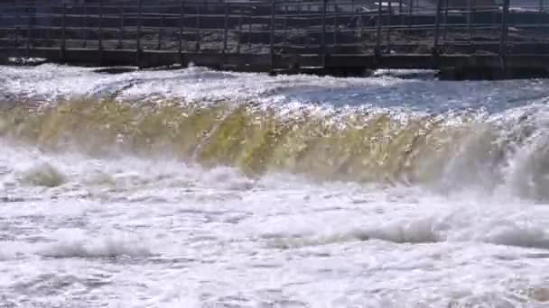 kleiner Damm über den Fluss - Filmmaterial, Video