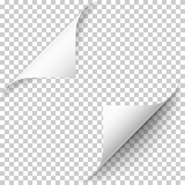 Vector realistic white paper corners set - Vector, Image