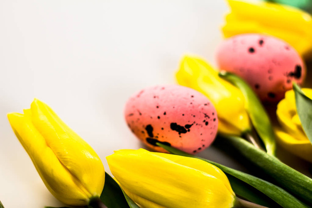 Concetto pasquale. Uova di Pasqua e tulipani su sfondo colorato, luogo per la tipografia
 - Foto, immagini