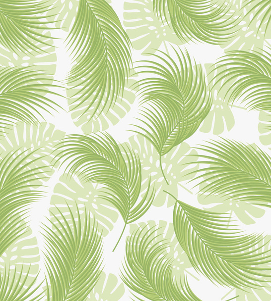 Palm tree leaves - Vector, Image