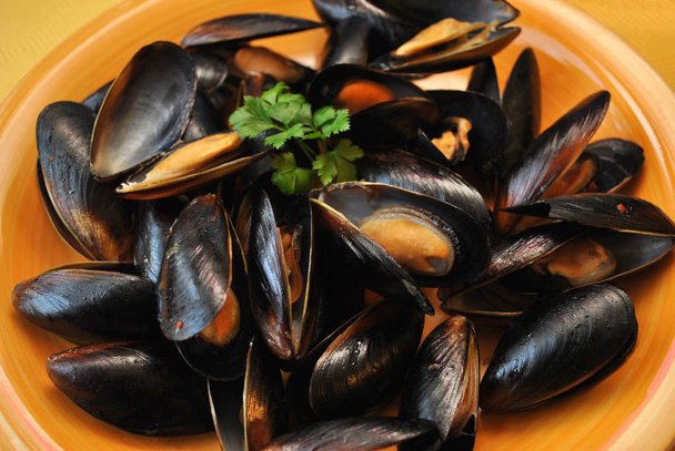 Plate of Mussels Garnished with Parsley - Photo, Image