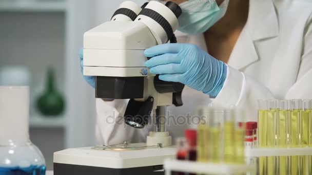 Professional bacteriologist viewing samples of bacteria on microscope, virology - Footage, Video