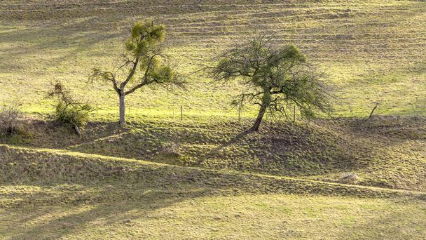 Сільський пейзаж у Гогенлое - Фото, зображення