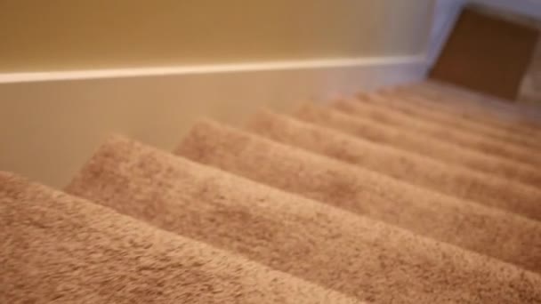 Yalpa düşük merdivenden seyahat vurdu - Video, Çekim