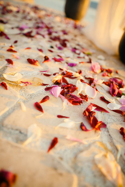 Rose petals on the floor. Wedding tradition of showering newlywe - Photo, Image