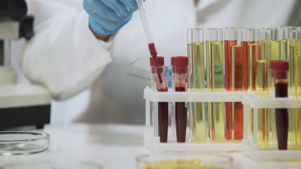 Clinical test, laboratory scientist analyzing blood samples under microscope - Video, Çekim