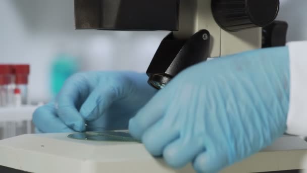 Scientist in gloves adjusting microscope to study sample having been put earlier - Imágenes, Vídeo