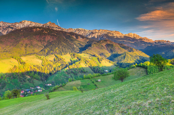 Yaz kırsal manzara ve wilderness Bran, Transilvanya, Romanya, Europe yakınındaki - Fotoğraf, Görsel