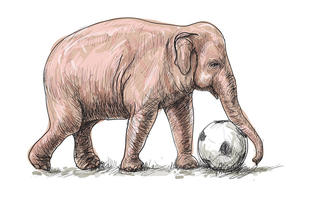elefante jugando al fútbol, boceto libre dibujo ilustración - Vector, Imagen