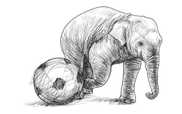 slon hrající fotbal, kresba volné ruky ilustrace - Vektor, obrázek