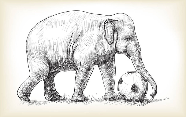 ελέφαντας παίζει ποδόσφαιρο, σκίτσο δωρεάν χέρι κλήρωση εικόνα - Διάνυσμα, εικόνα