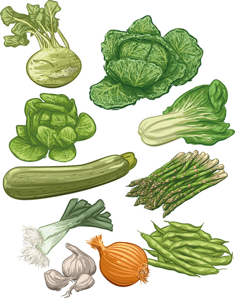 iii λαχανικά - Διάνυσμα, εικόνα