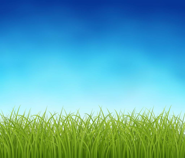 Hierba verde fresca
 - Vector, imagen