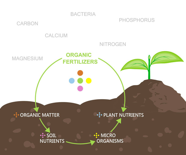 Diagram van de voedingsstoffen in organische meststoffen - Vector, afbeelding