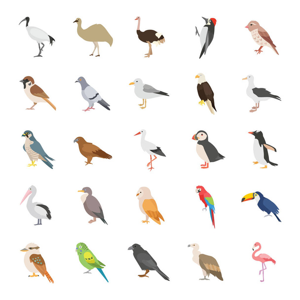 Birds color vector icons - Vector, Image