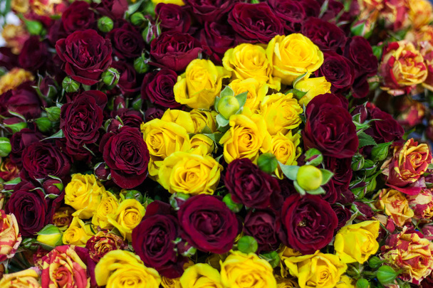 Bouquet of multicolored roses - Zdjęcie, obraz