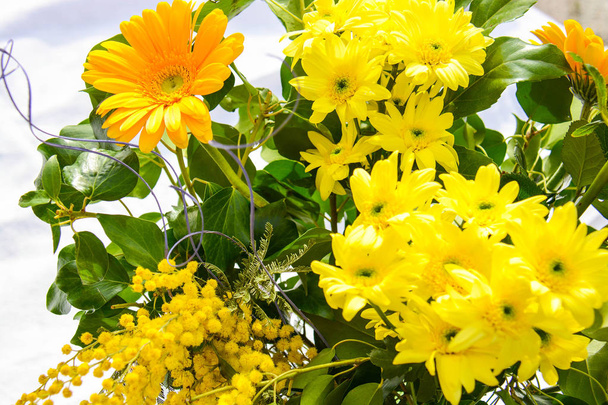 букет цветов для особых
 - Фото, изображение