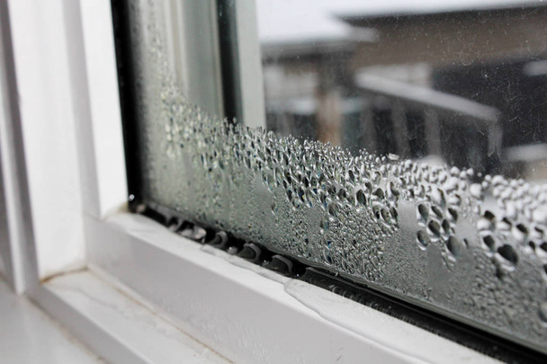 Condensatie van het water op windows tijdens de winter - Foto, afbeelding