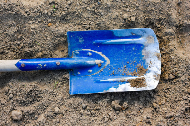 Old Blue wooden shovel on a brown soil ground detail. Work in th - Valokuva, kuva