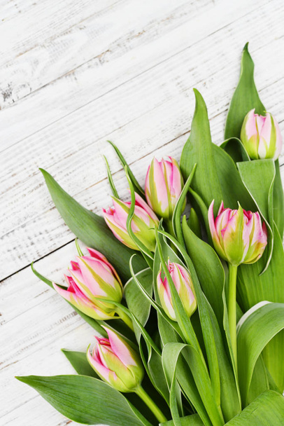 Pink tulips bouquet - 写真・画像