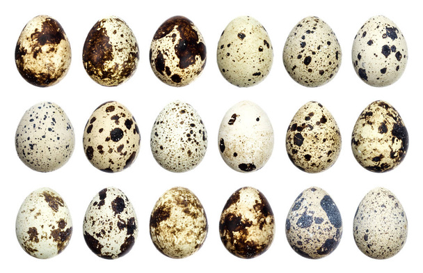 Isolated quail eggs. Big collection of quail eggs isolated on white background with clipping path - Photo, Image