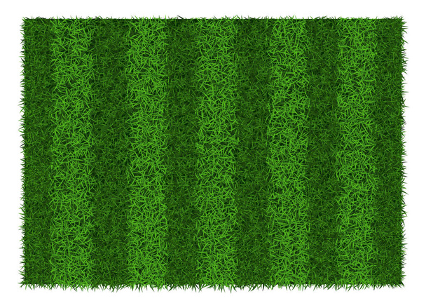 Football field grass. - Vector, afbeelding