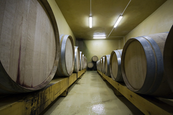 Şarap fıçıları - Fotoğraf, Görsel