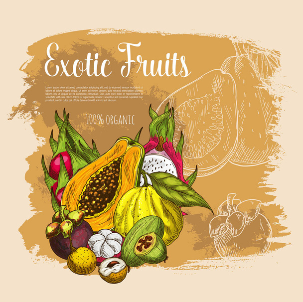 Διάνυσμα σκίτσο αφίσα εξωτικά τροπικών φρέσκα φρούτα - Διάνυσμα, εικόνα