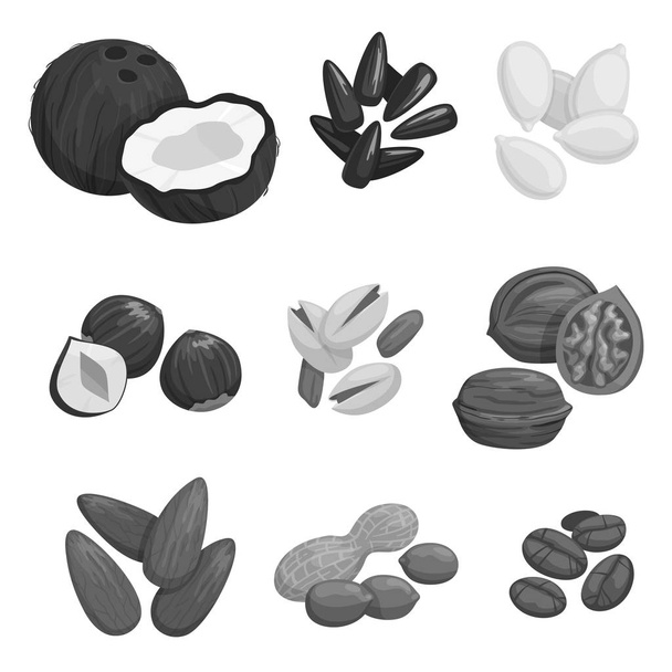 Pähkinät, viljan ja pähkinän siemenet vektorikuvakkeet
 - Vektori, kuva
