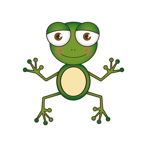 colorful picture cartoon cute toad amphibian - Vecteur, image