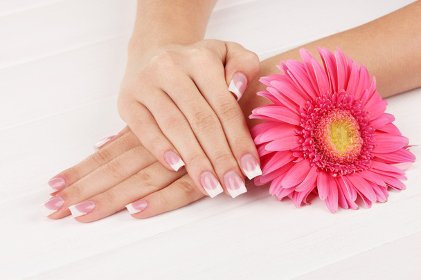 Woman hands with french manicure and flower on white wooden background - Фото, изображение