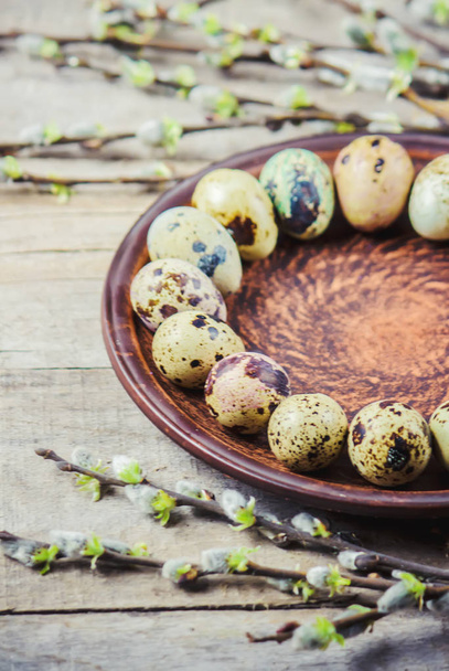 quail eggs on a beautiful spring background. Selective focus.  - 写真・画像