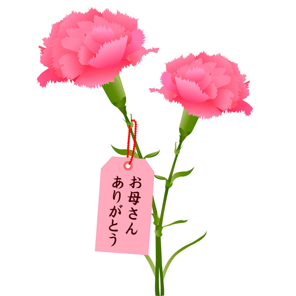 Mother's Day Carnation Spring Icon - Vector, Image