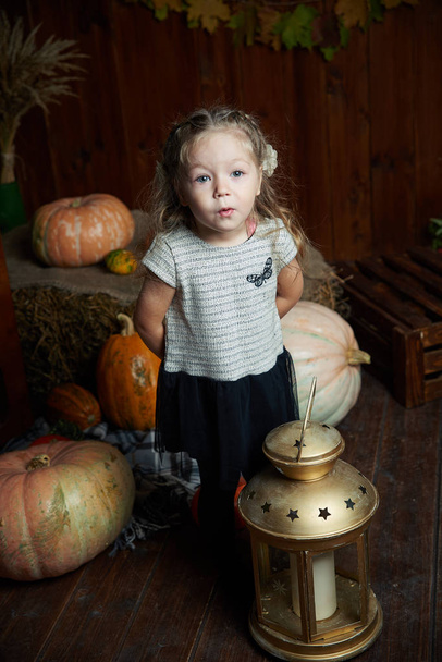 Portrait of adorable smiling girl posing with orange pumpkin in fall wooden interior. fine - Foto, immagini
