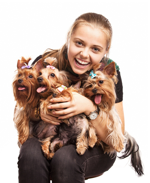 Aranyos fiatal lány gazdaság Yorkshire terrier kutyák kör aranyos fiatal lány gazdaság Yorkshire terrier kutyák ölében - Fotó, kép