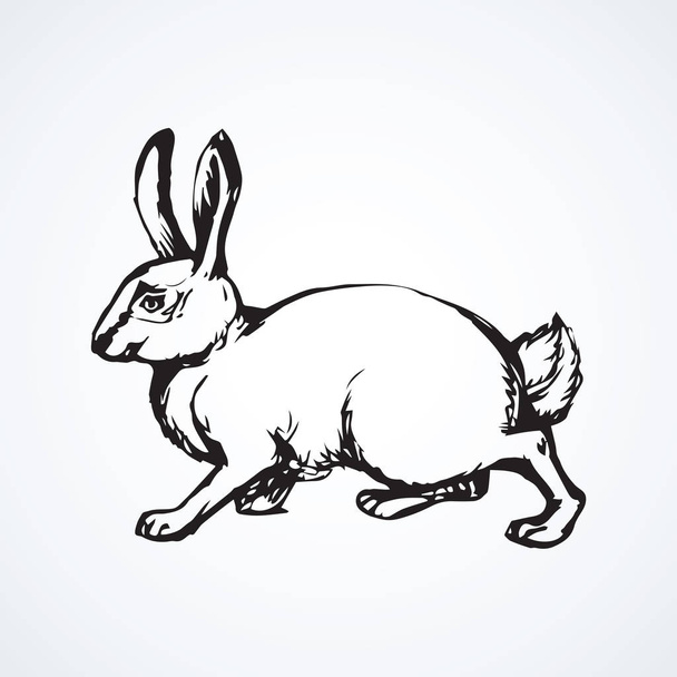Hare. Vector drawing - Vector, Image