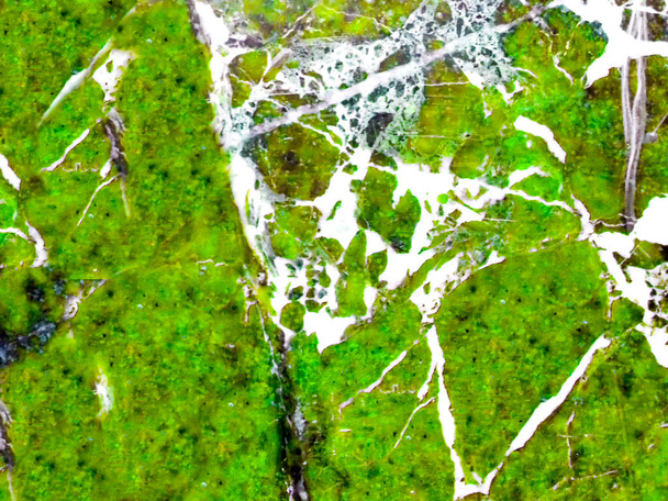 Moss marmer en witte lijn  - Foto, afbeelding