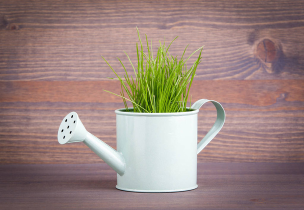 Innaffiatoio in miniatura con erba fresca verde primaverile. Contesto astratto per le imprese e lo sviluppo
 - Foto, immagini